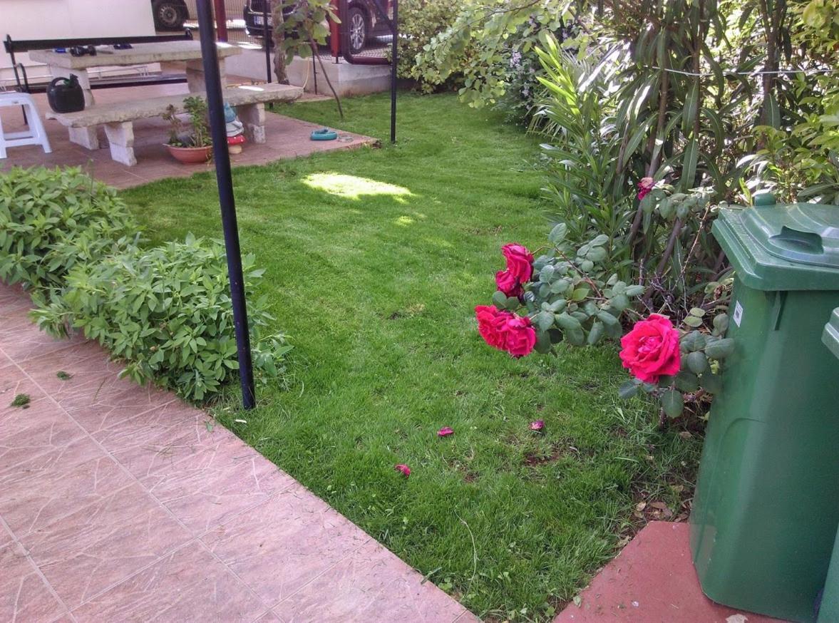 Apartment Casa Del Sol Novigrad Istria Eksteriør billede