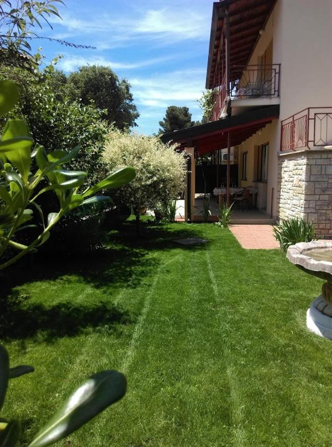 Apartment Casa Del Sol Novigrad Istria Eksteriør billede