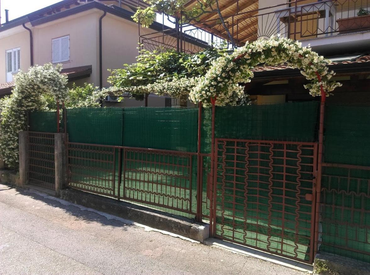 Apartment Casa Del Sol Novigrad Istria Eksteriør billede