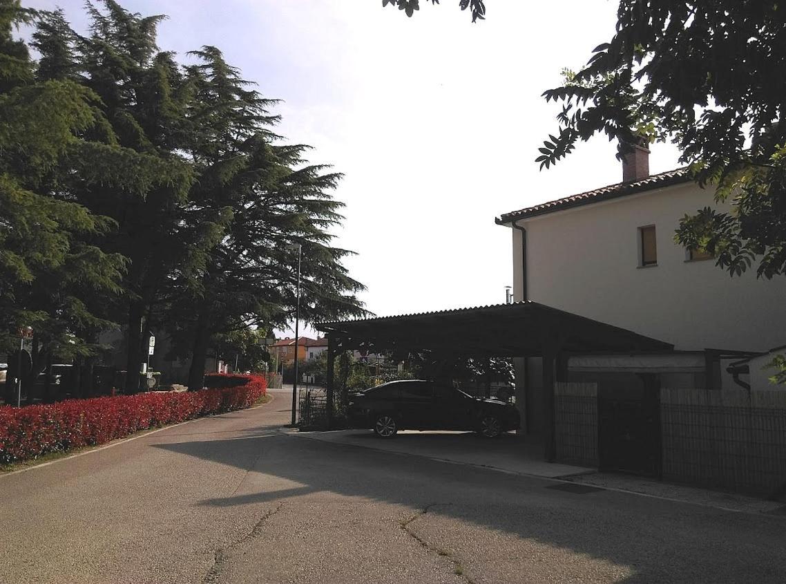 Apartment Casa Del Sol Novigrad Istria Eksteriør billede
