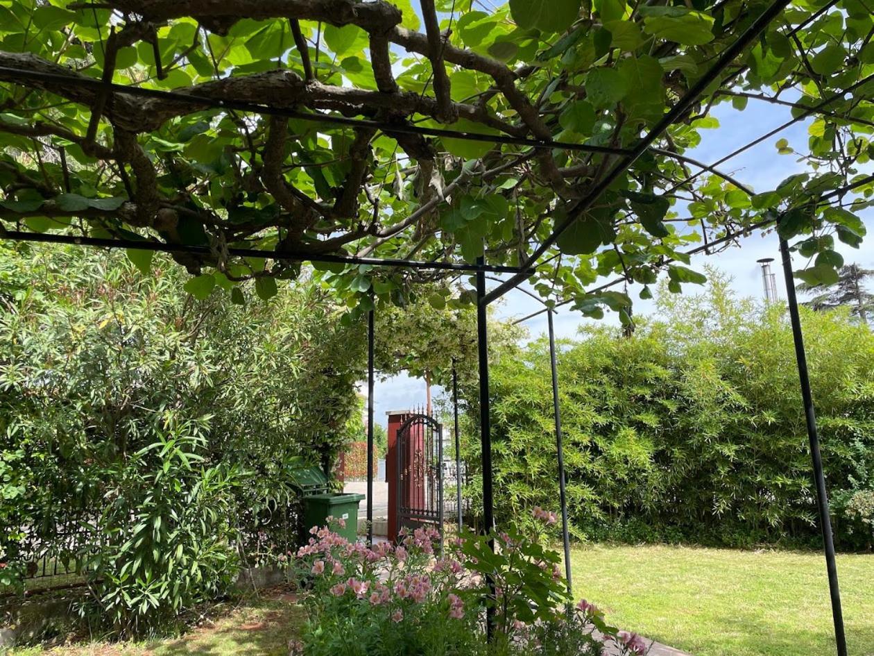 Apartment Casa Del Sol Novigrad Istria Eksteriør billede